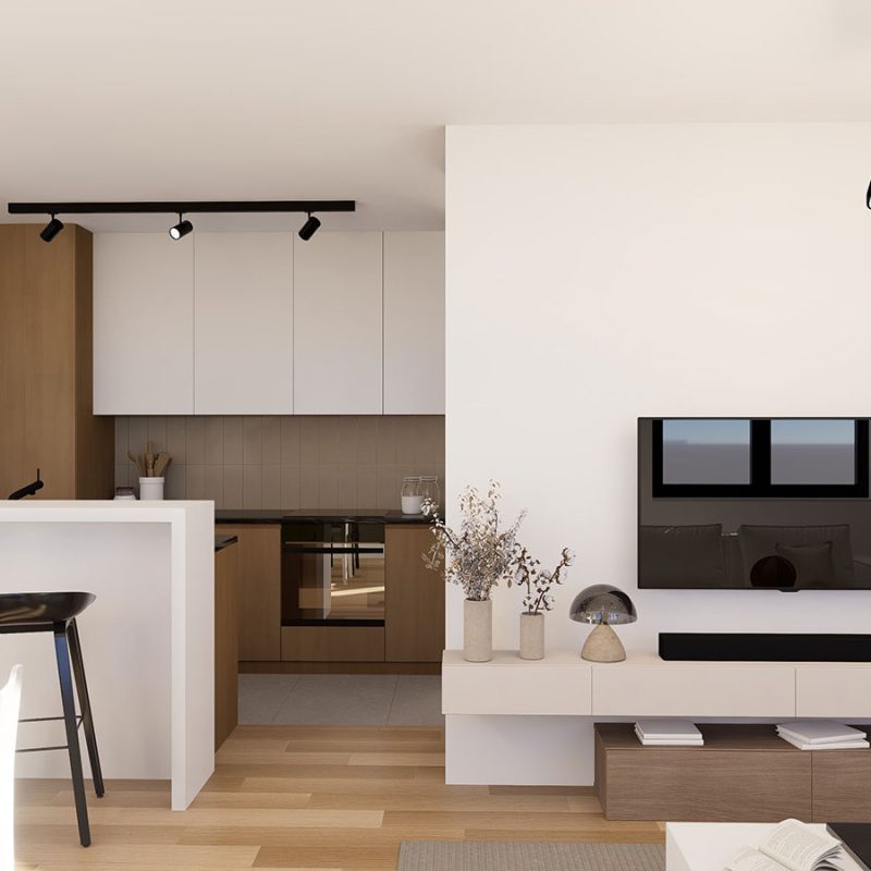 zorana-petrovica--STAN-1-001