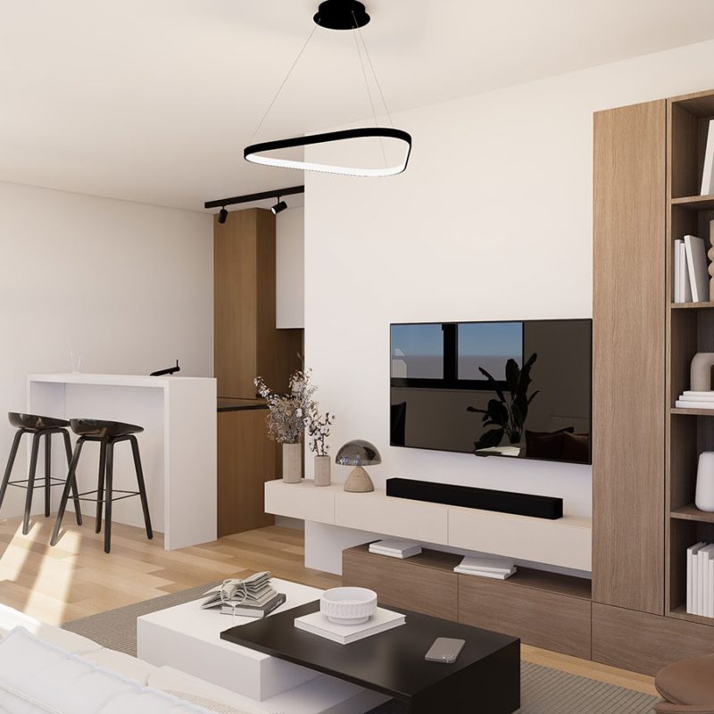 zorana-petrovica--STAN-1-003