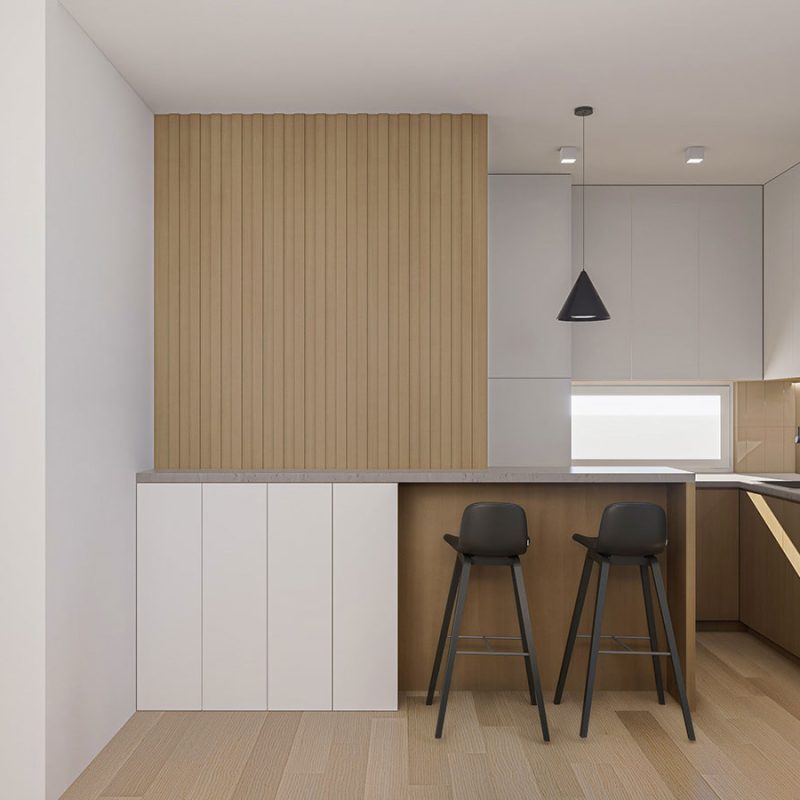 zorana-petrovica--STAN-2-001