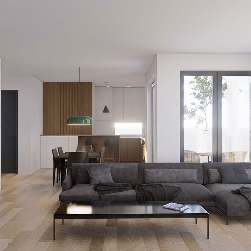 zorana-petrovica--STAN-2-004